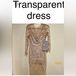 NWT ASOS Lace Sheer Sheath Dress – Celebrity-Inspired Nude Illusion Gown, Size 4